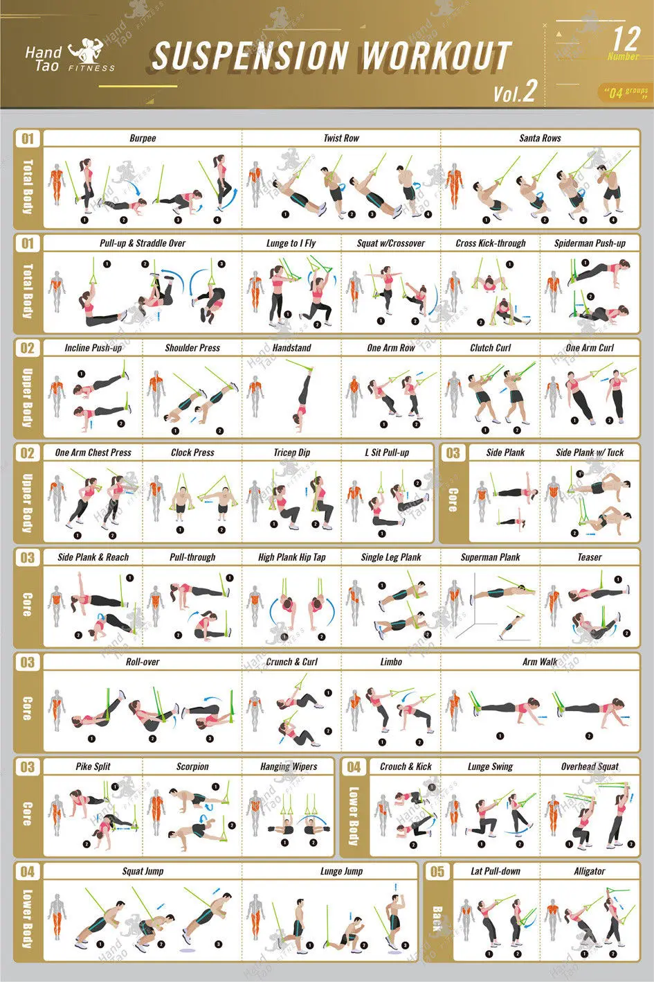 X007 Home Decor Suspension Exe - Home Gym Guide review and price