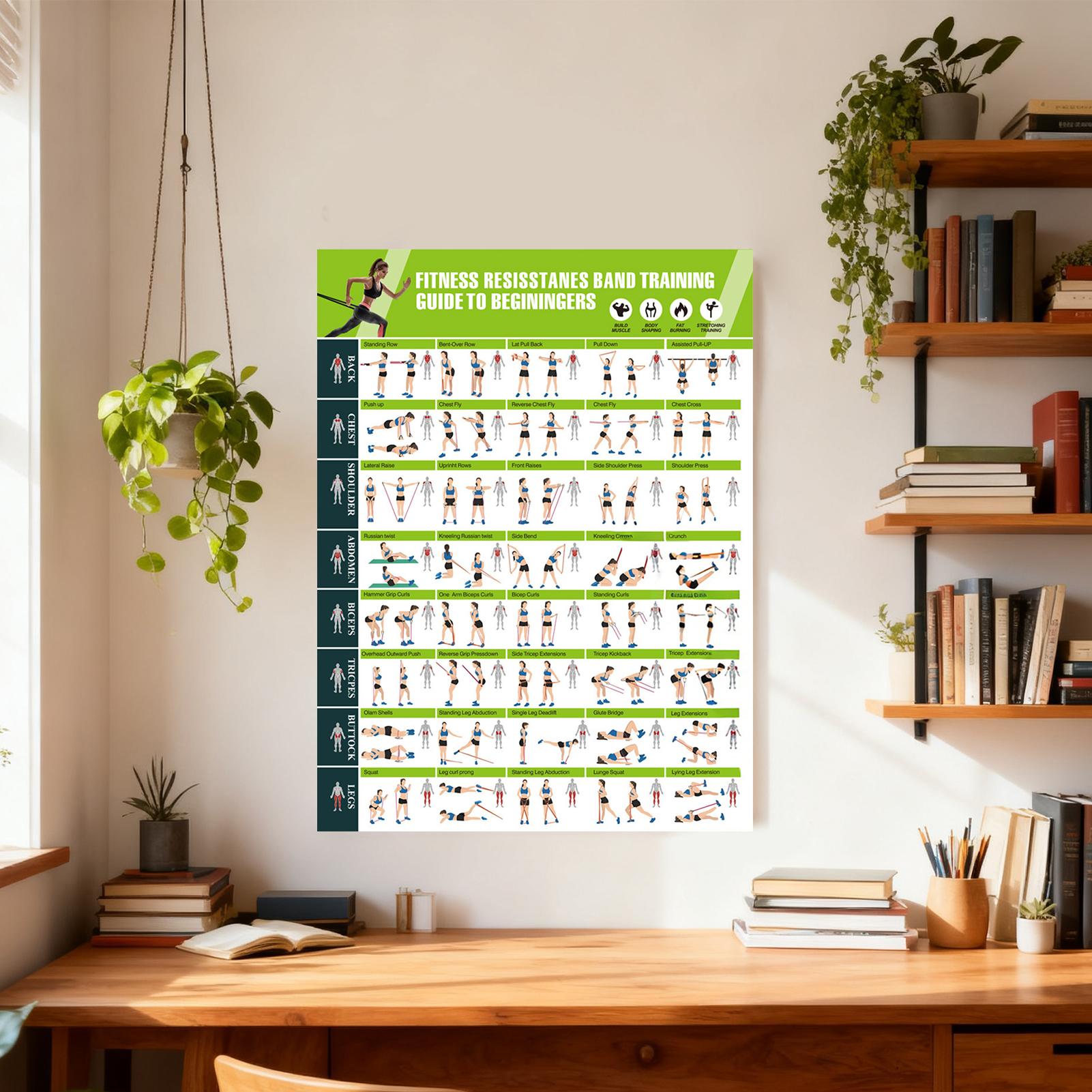 Workout Posters with Resistanc - Home Gym Guide review and price
