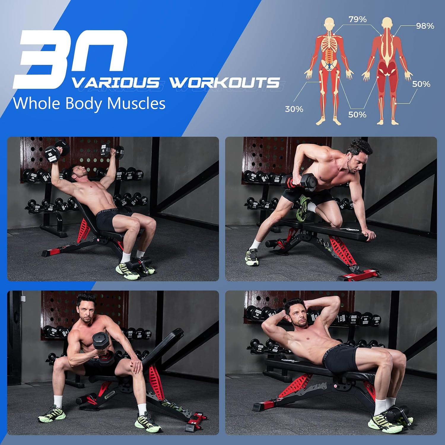 Adjustable Weight Bench, 1500  - Home Gym Weights review and price