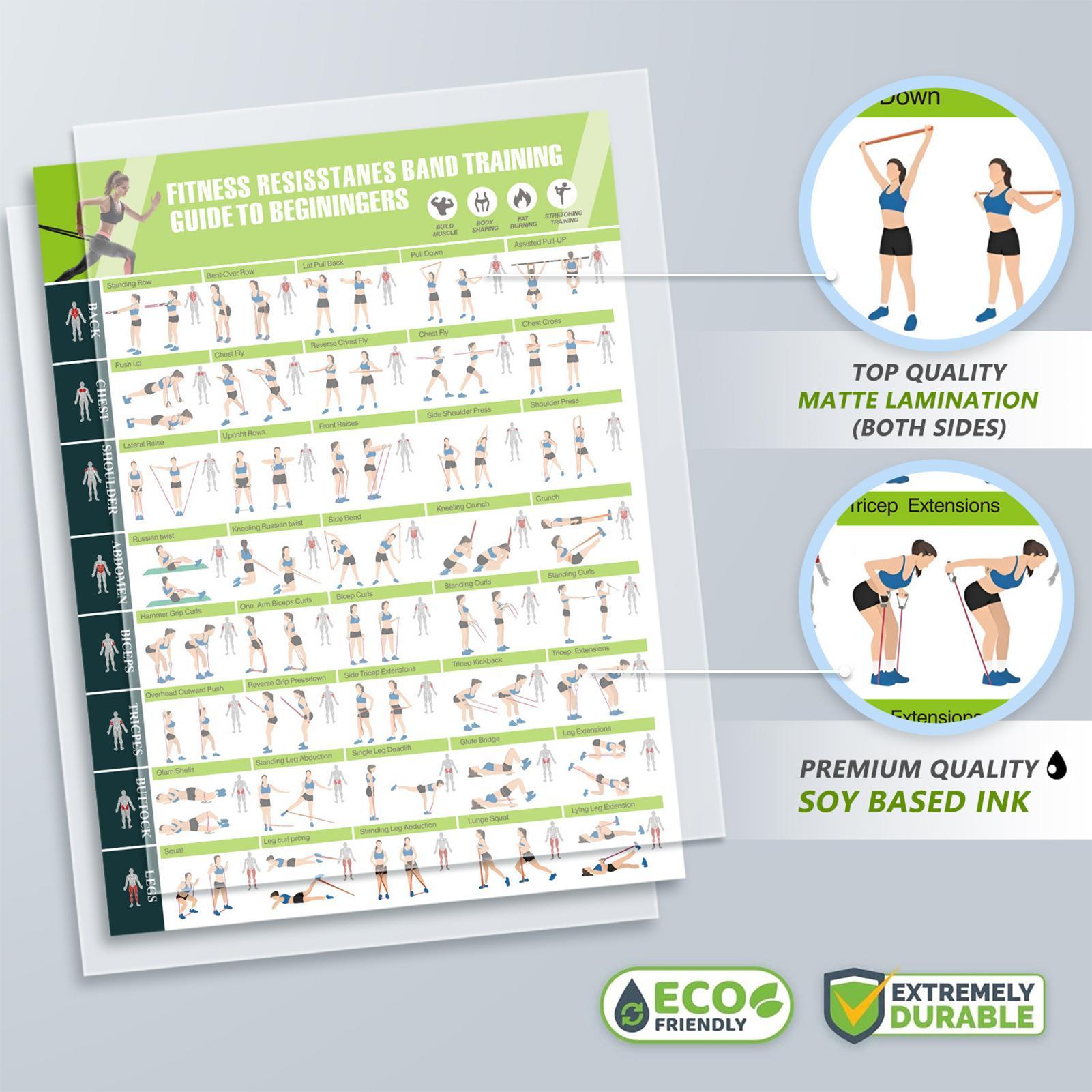Workout Posters with Resistanc - Home Gym Guide review and price