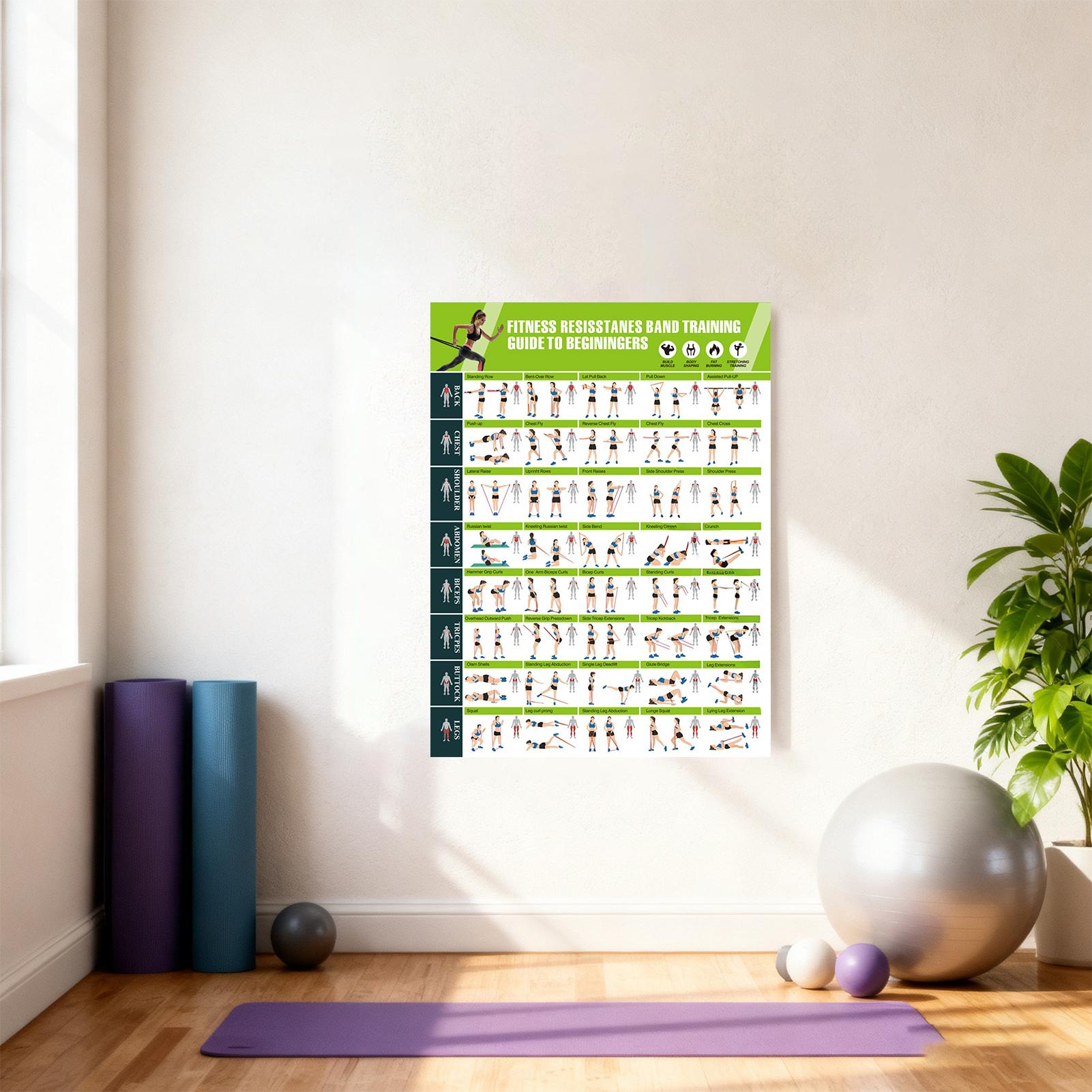 Workout Posters with Resistanc - Home Gym Guide review and price