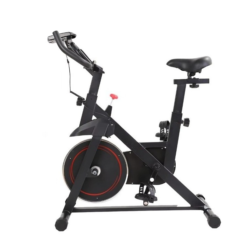 New Professional Spinning Bike - Home Gym Layout review and price