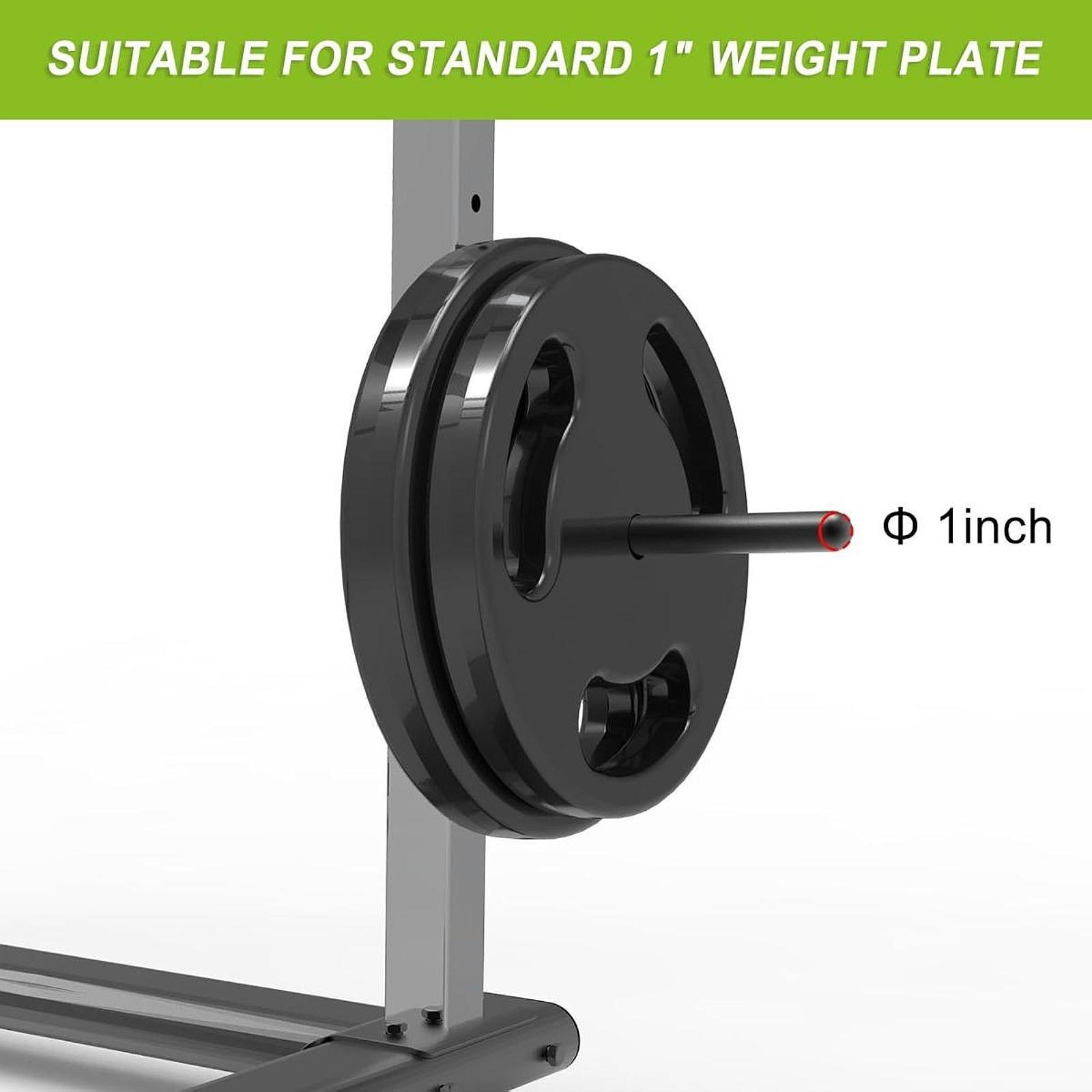 Space Saving Barbell Plate Han - Home Gym Youtube review and price