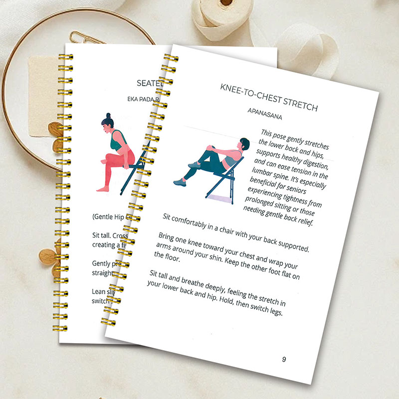 30 Day Chair Yoga Weight Loss  - Home Gym Guide review and price