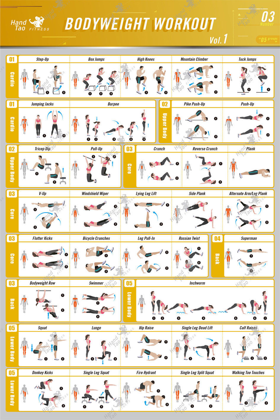 Bodyweight workout Exercise Bo - Home Gym Guide review and price