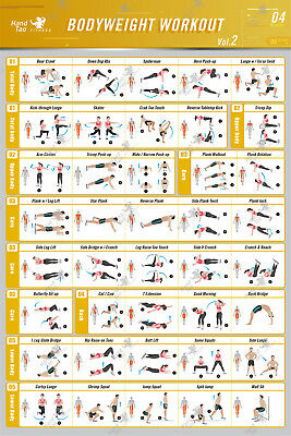 Bodyweight workout Exercise Bo - Home Gym Guide review and price