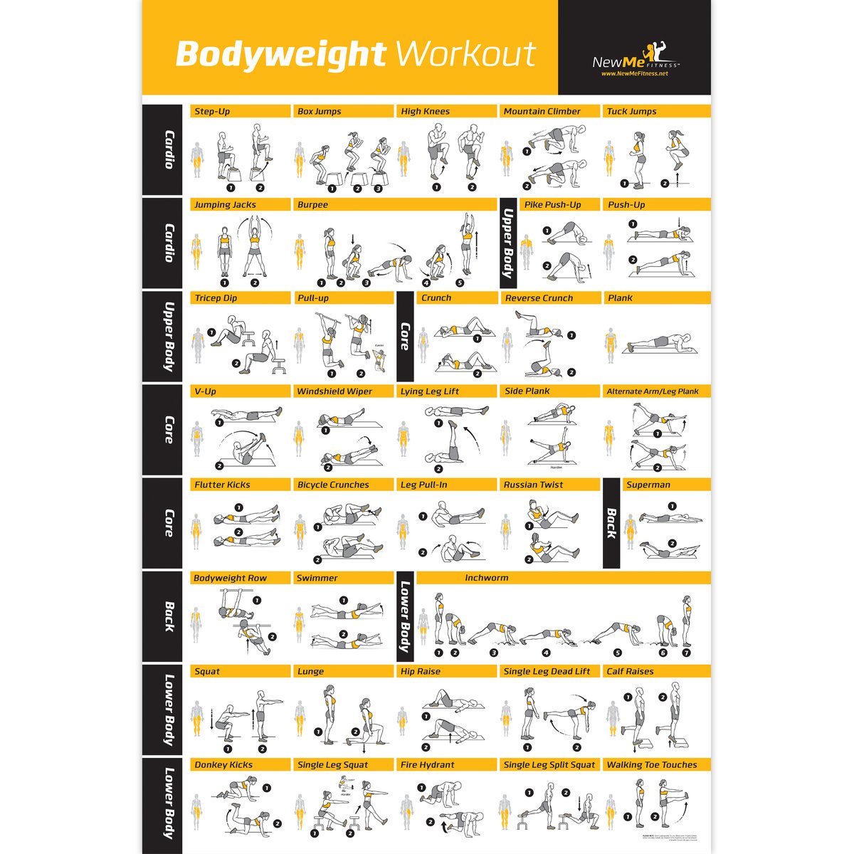 Bodyweight workout Exercise Bo - Home Gym Guide review and price