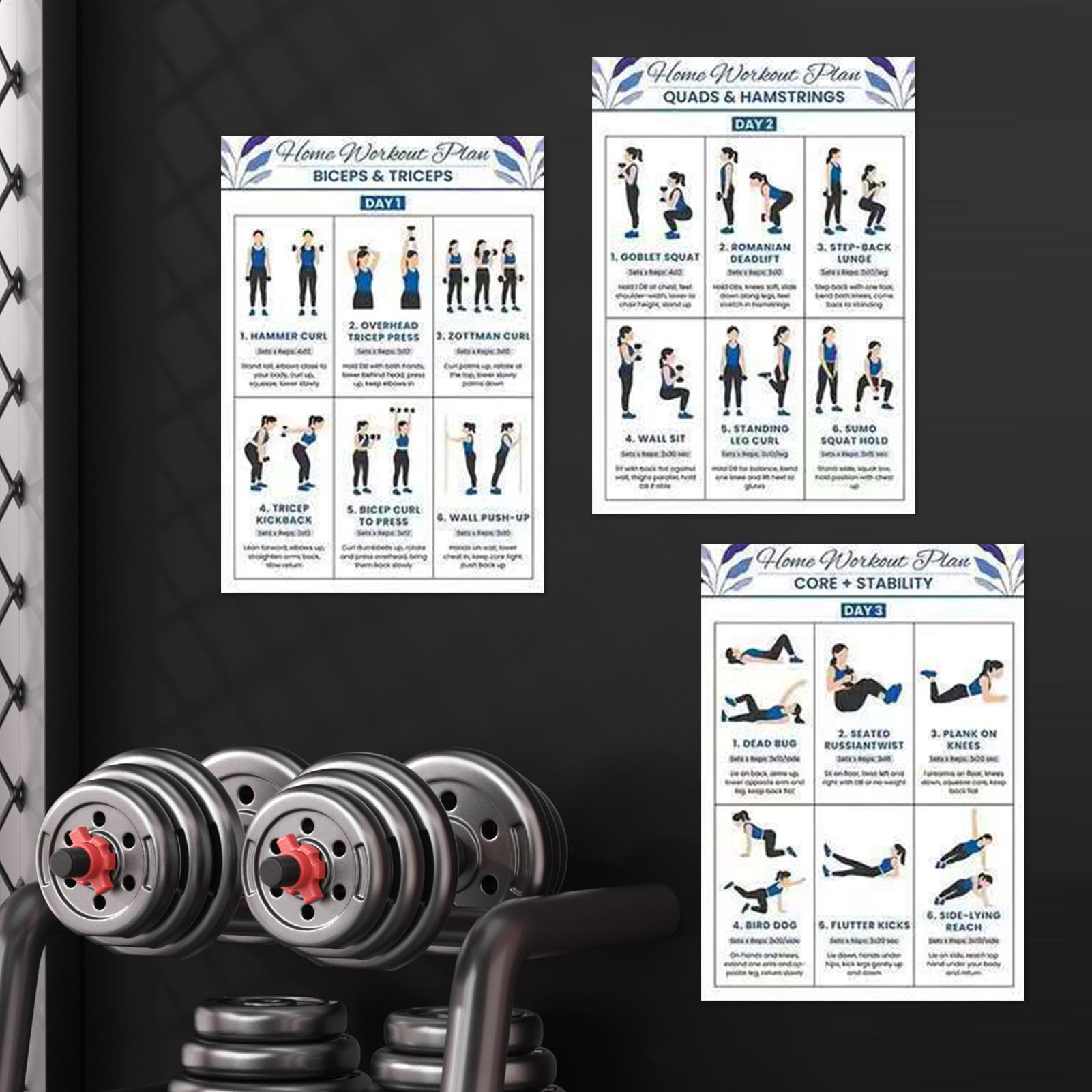6pcs Yoga Dumbbell Stretching  - Home Gym Guide review and price