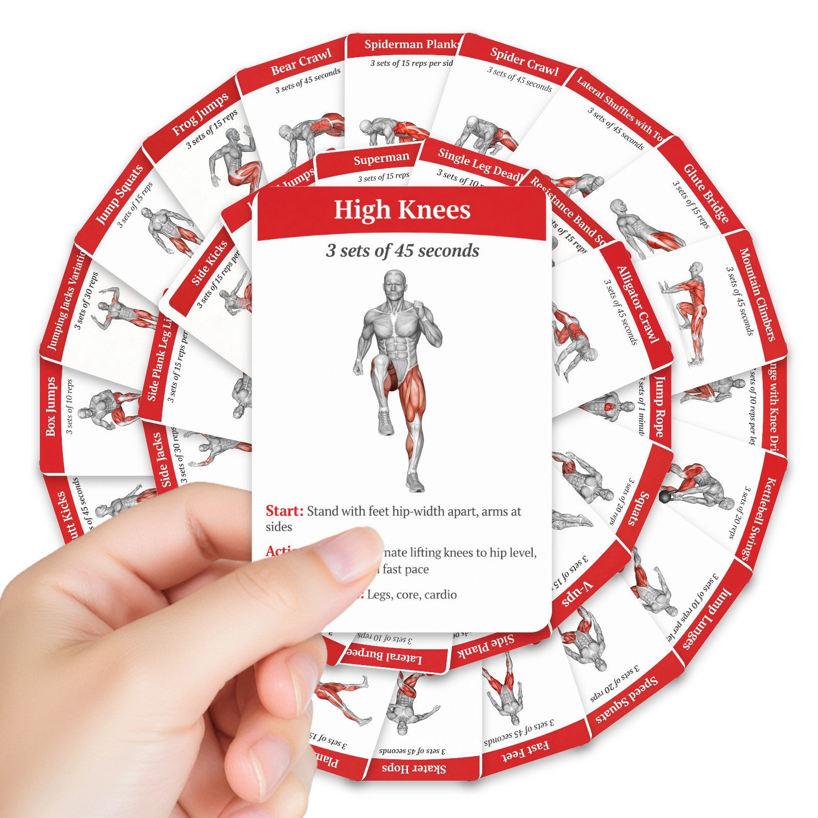 36Pcs Full Body Fat Burning Wo - Home Gym Guide review and price