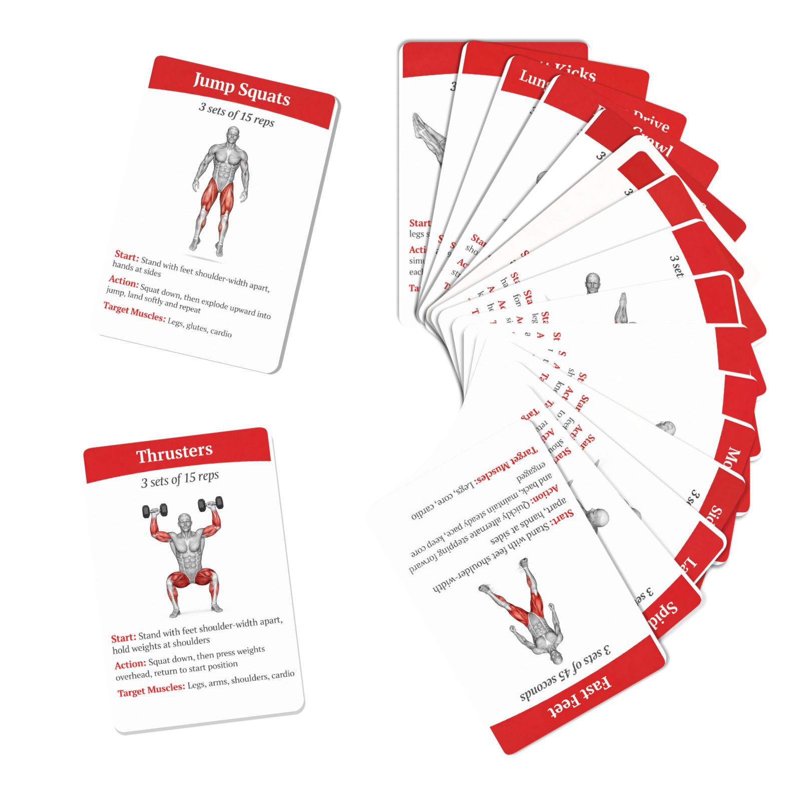 36Pcs Full Body Fat Burning Wo - Home Gym Guide review and price